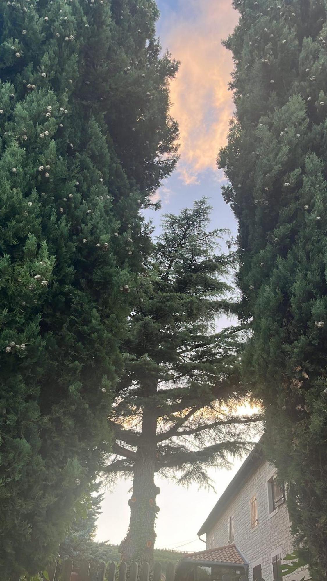 Domaine Bassy Hotel Saint-Gengoux-de-Scisse ภายนอก รูปภาพ